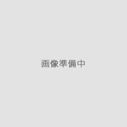 馬大動脈
