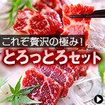 とろっとろセット