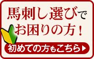 馬刺し選びでお困りの方!初めての方もこちら
