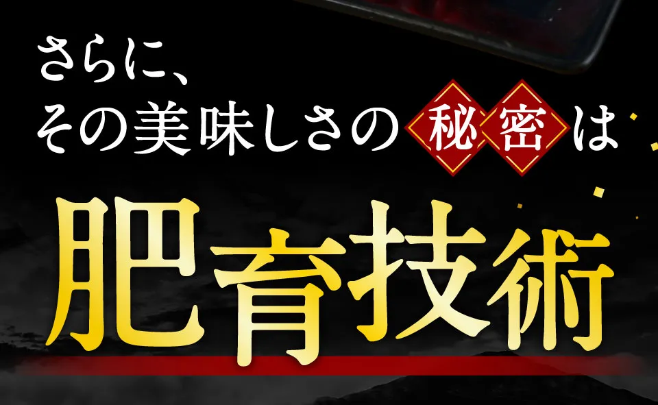 肥育技術