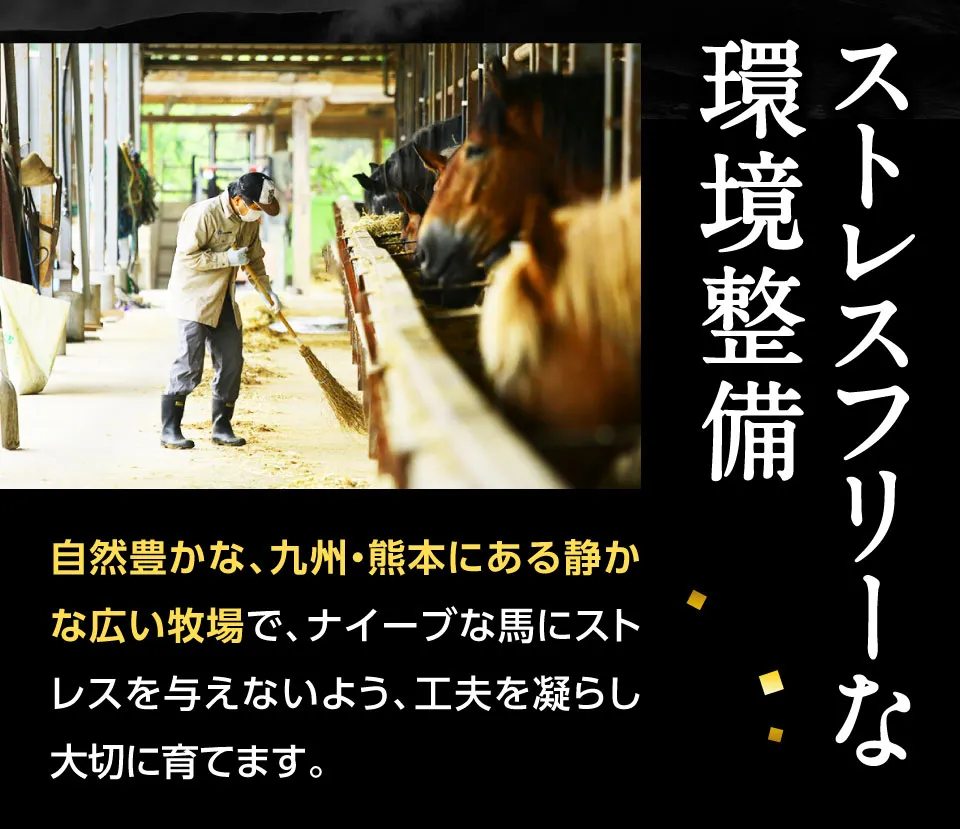 ストレスフリー