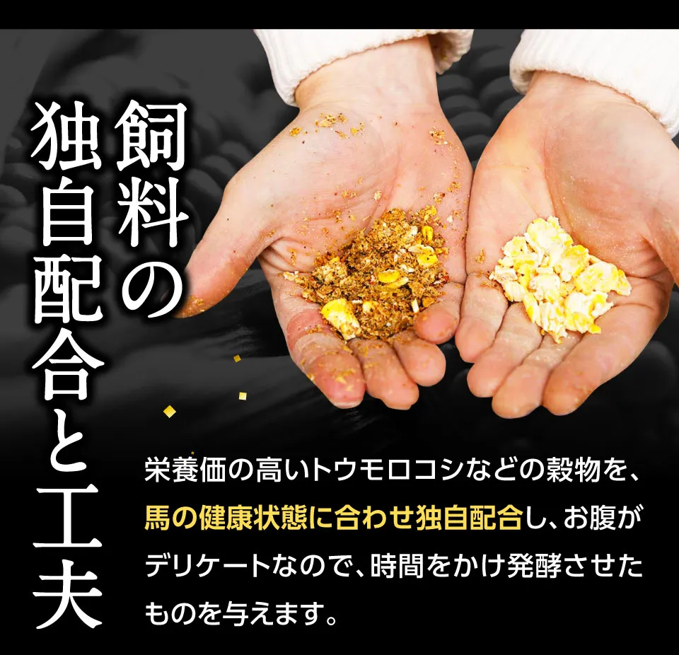 飼料