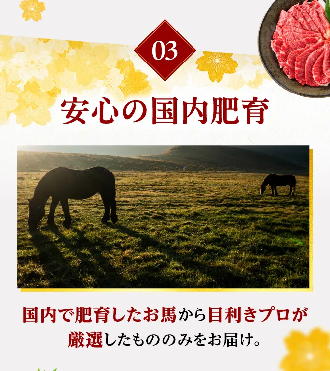 食べきりサイズ