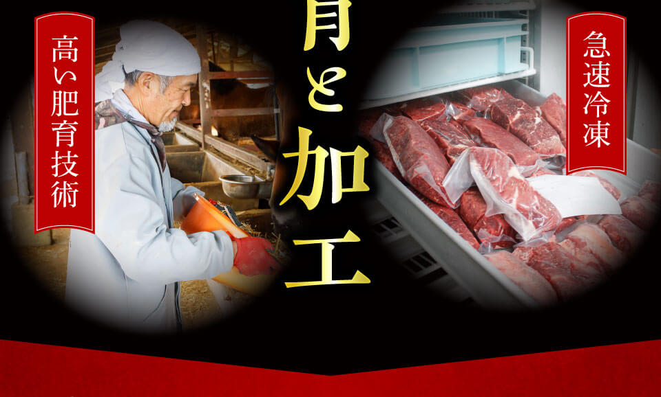 ストレスフリーな環境で肥育しています!
