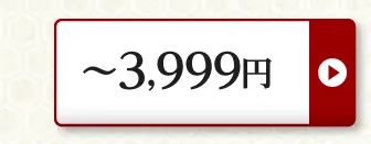 ～3,999円