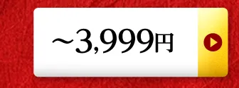 ～3,999円