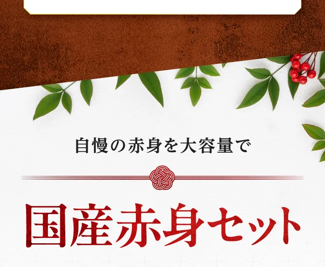 国産赤身セット