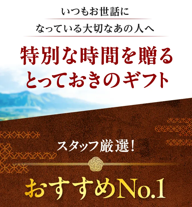 スタッフ厳選！おすすめNo.1