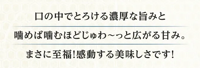 今までの馬刺しとは段違い