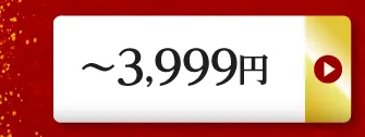 ～3,999円