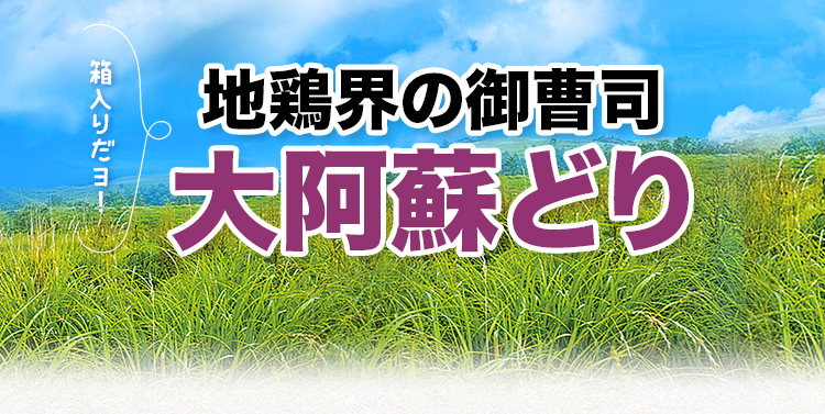 大阿蘇どり