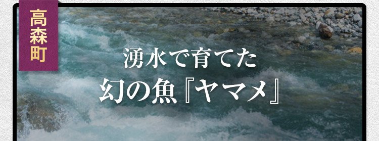湧水で育てた幻の魚『ヤマメ』