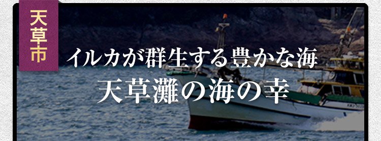イルカが群生する豊かな海 天草灘の海の幸