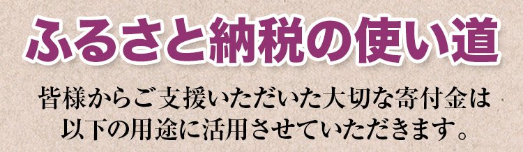 ふるさと納税の使い道