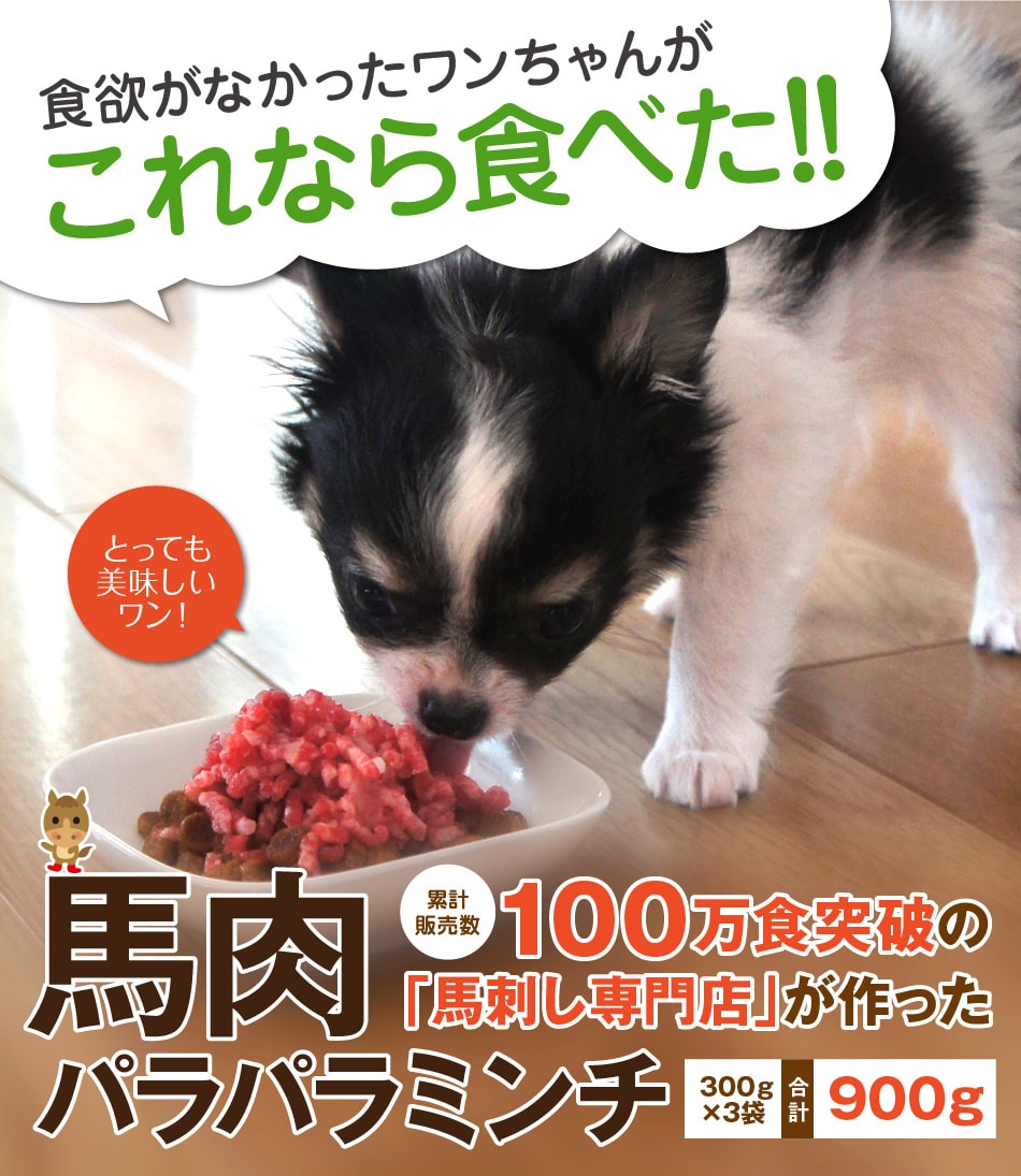馬肉パラパラミンチ