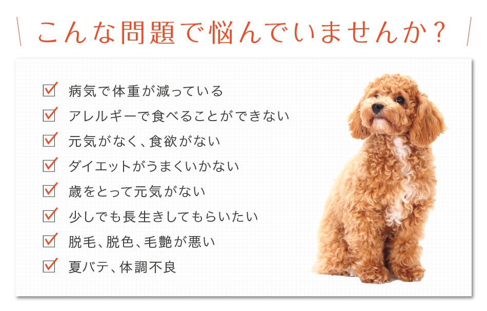 愛犬で悩んでいませんか？