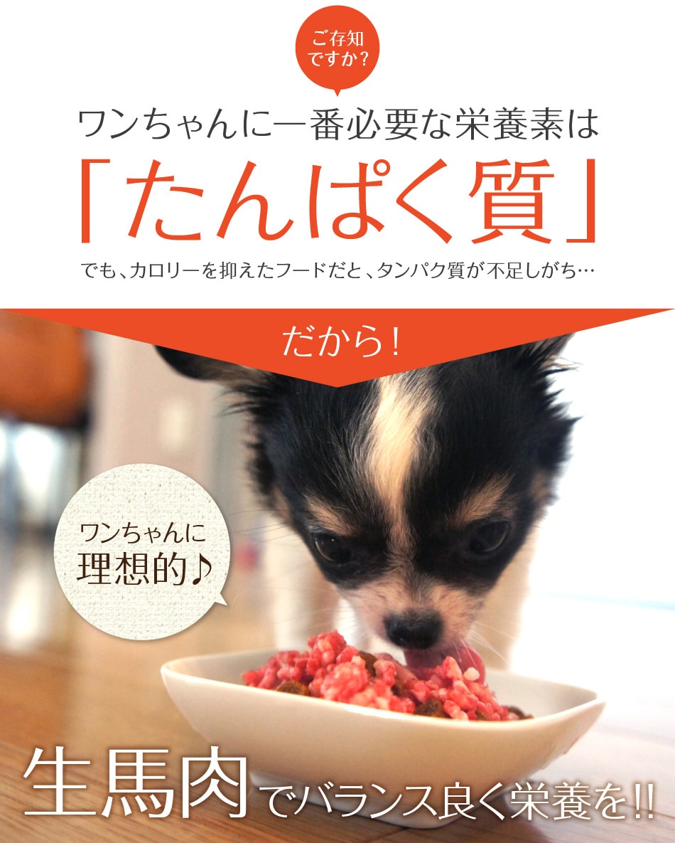 馬肉はタンパク質豊富