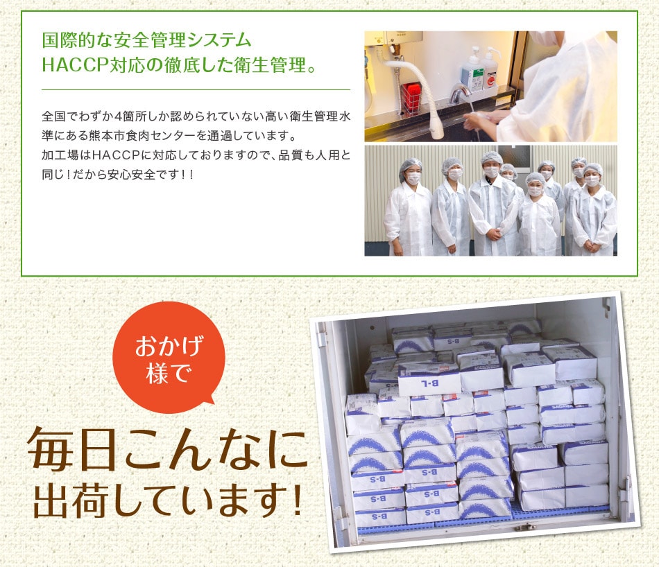 毎日こんなに出荷しています
