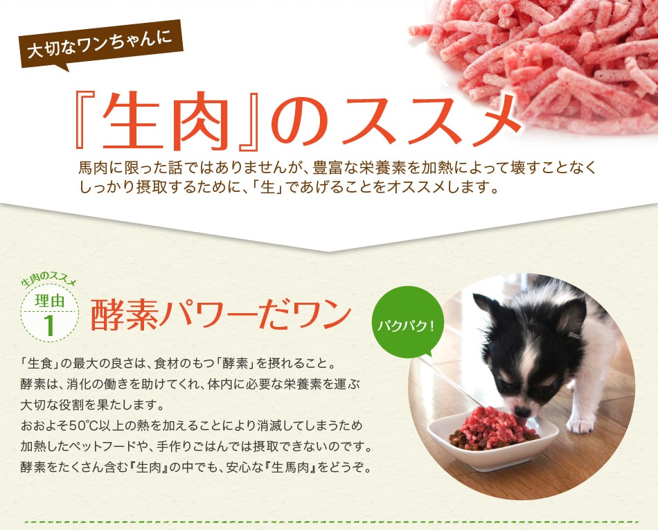 馬肉の酵素パワー