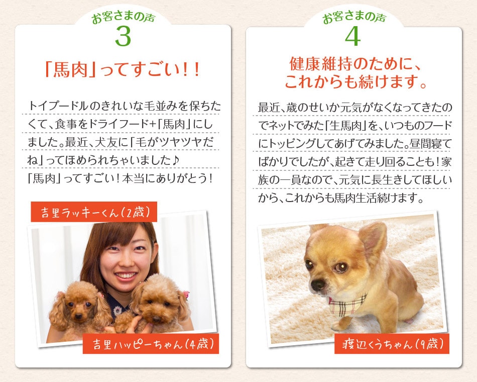 馬肉ってすごい
