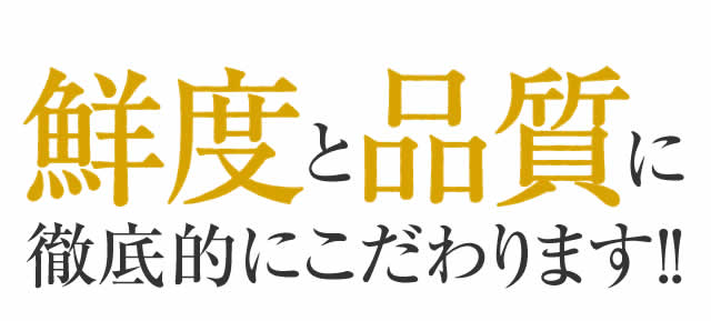 鮮度と品質に徹底的にこだわります!!
