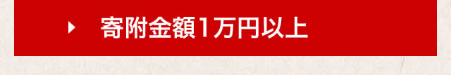 寄付金額10,000円以上