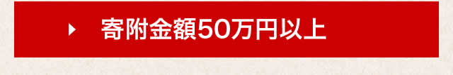 寄付金額500,000円以上