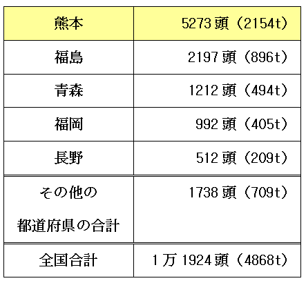馬の生産量ランキング 2位は福島 1位は 熊本馬刺しドットコムブログ